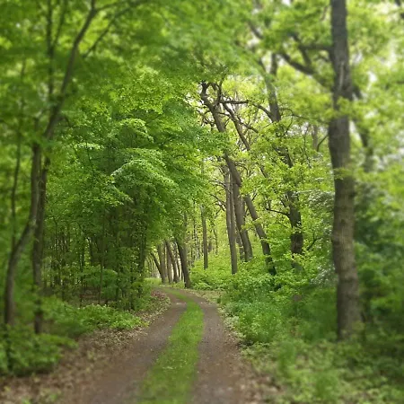 Luxe tent Glamping V Sadu *