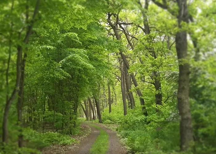 خيمة فخمة Glamping V Sadu *